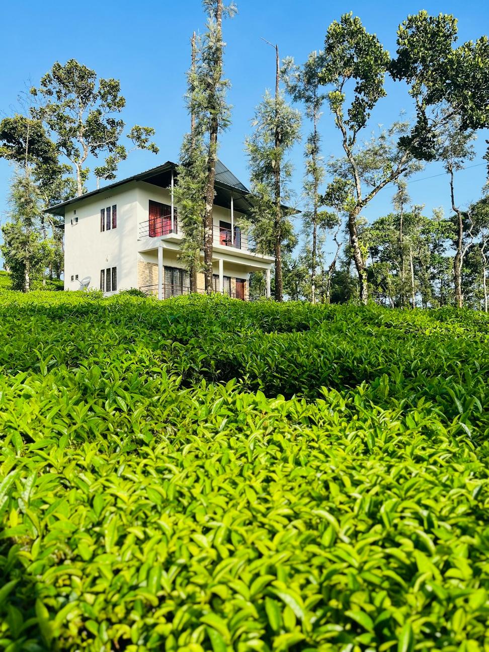 Green infrastructure
